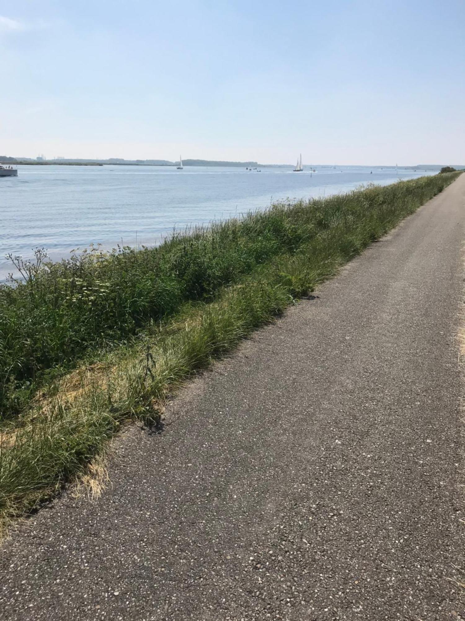 Uniek Gastenverblijf Kamperland Exterior foto